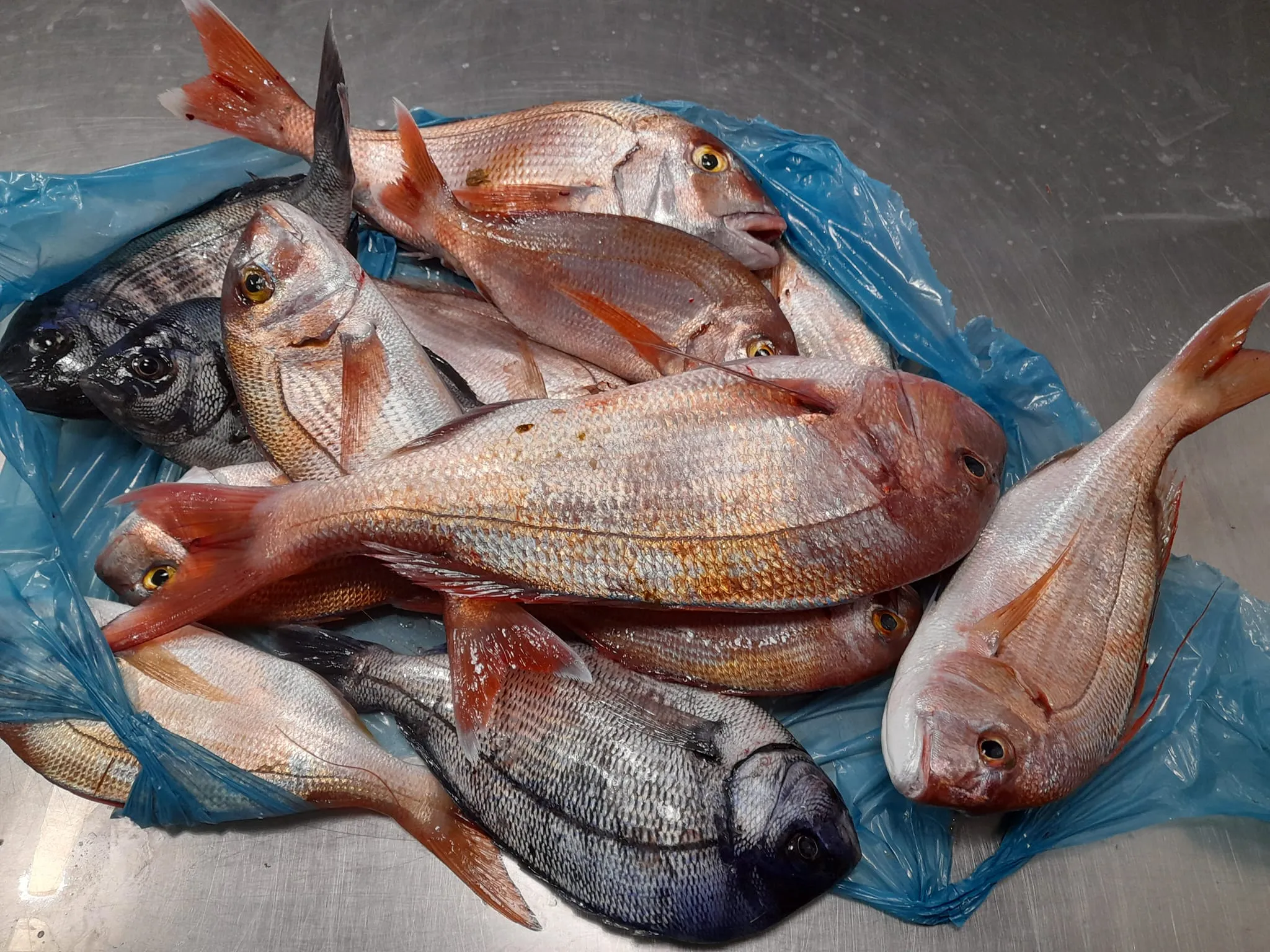 Fasting-approved Lenten seafood selections for Clean Monday and Holy Week in Skiathos